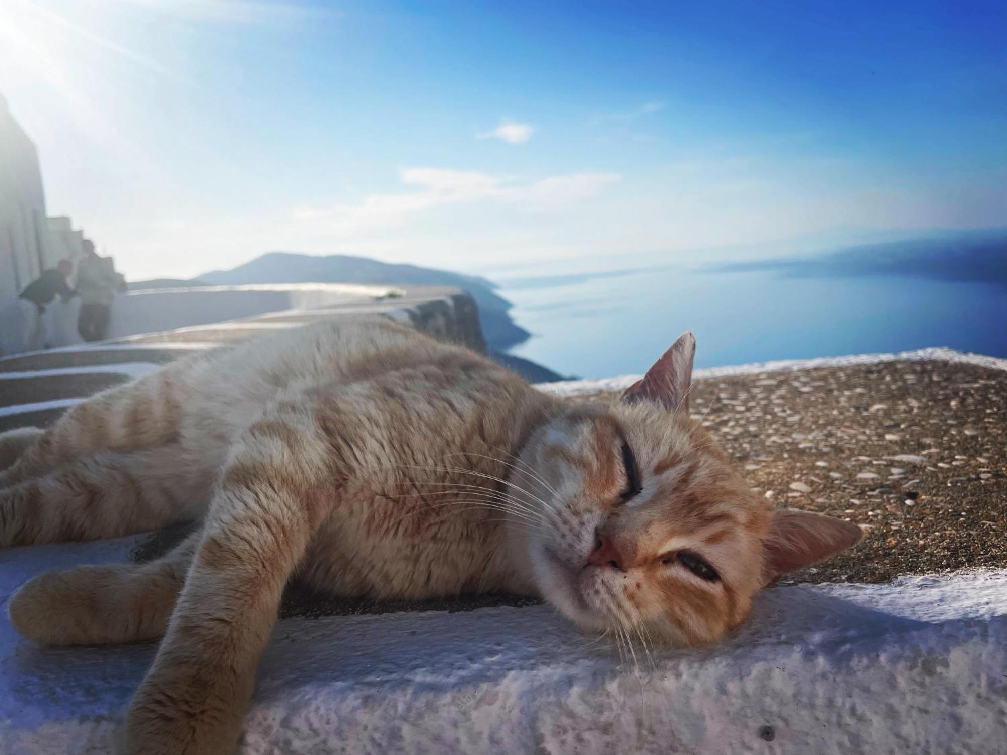Folegandros-Cliffhouseヴィラ エクステリア 写真