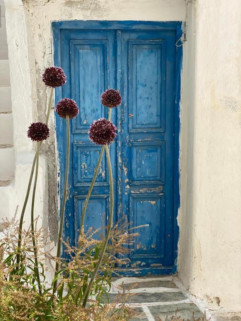 Folegandros-Cliffhouseヴィラ エクステリア 写真