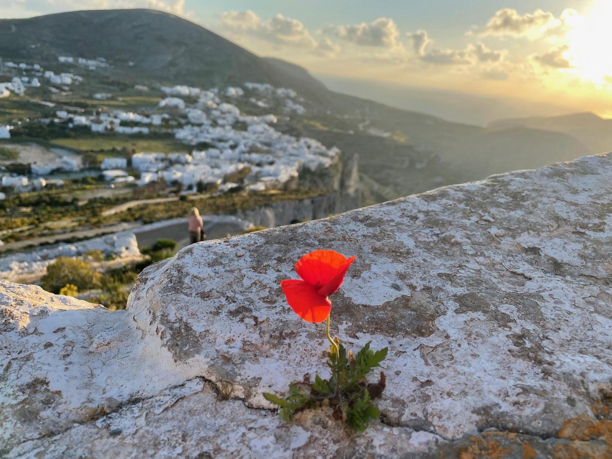 Folegandros-Cliffhouseヴィラ エクステリア 写真